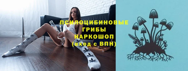 Альфа ПВП Алзамай