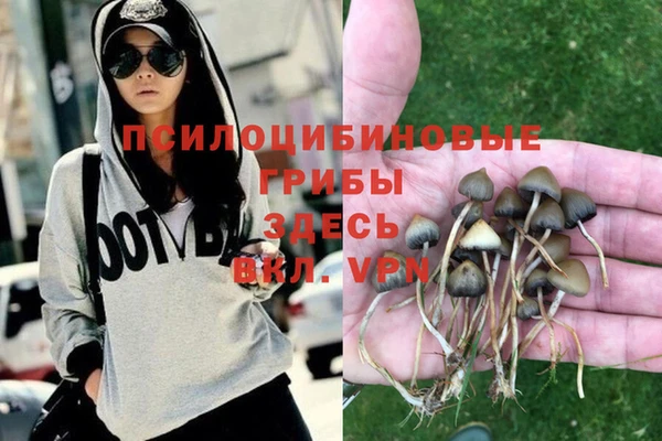 Альфа ПВП Алзамай